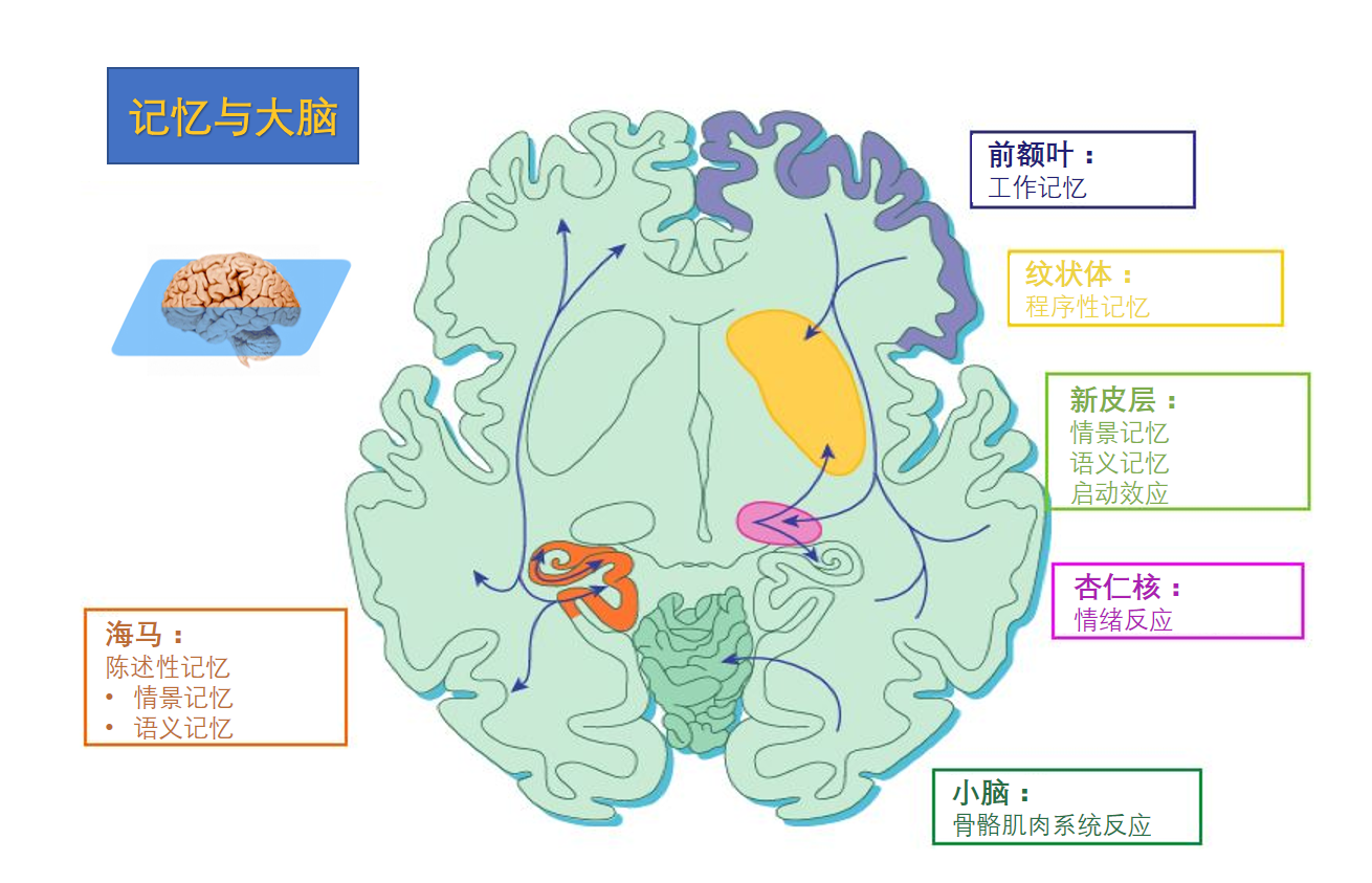 红雨瓢泼泛起了回忆：潜意识与情感的深度探索