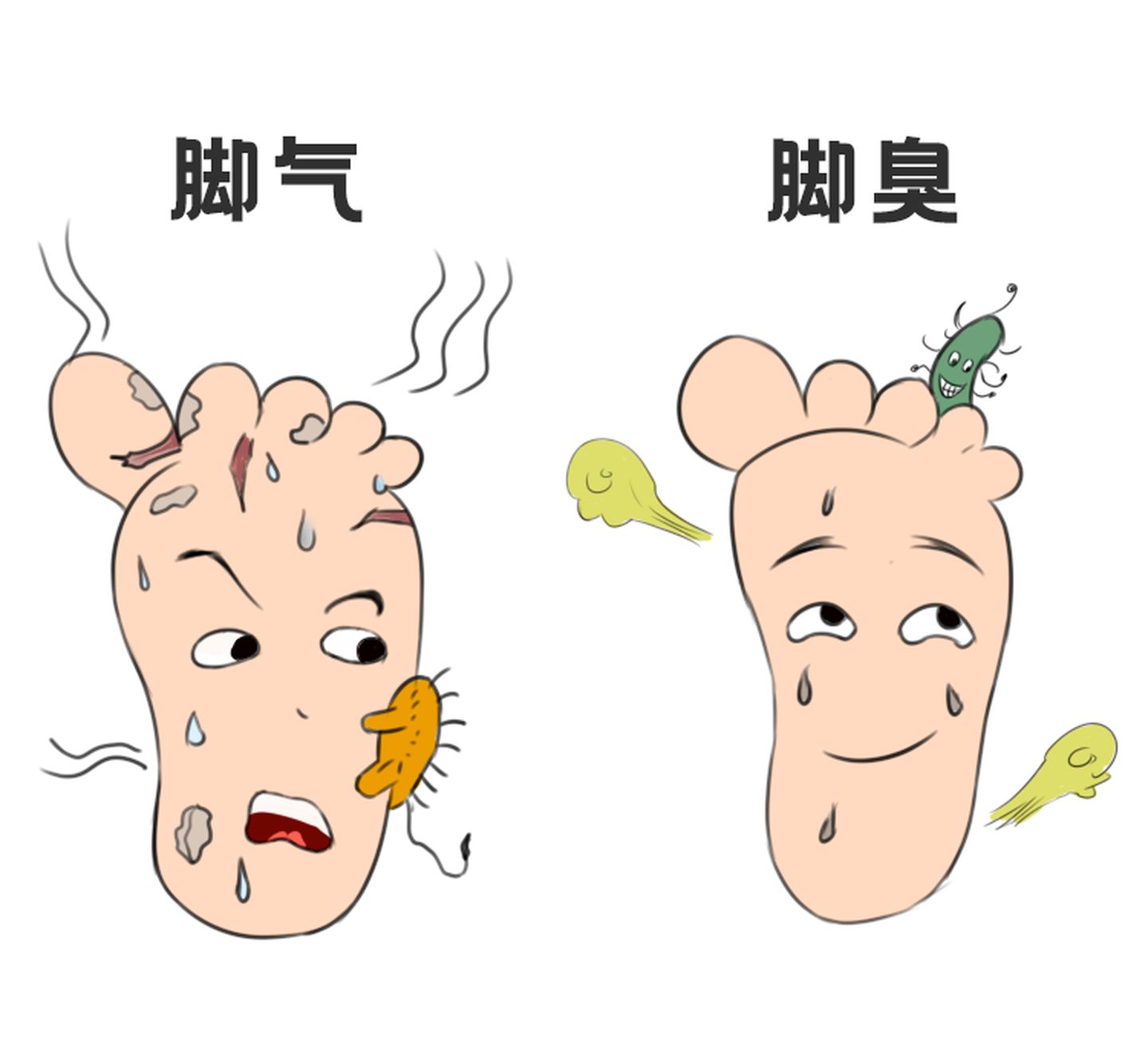 全身痒是怎么回事？探究皮肤瘙痒的常见原因及应对方法