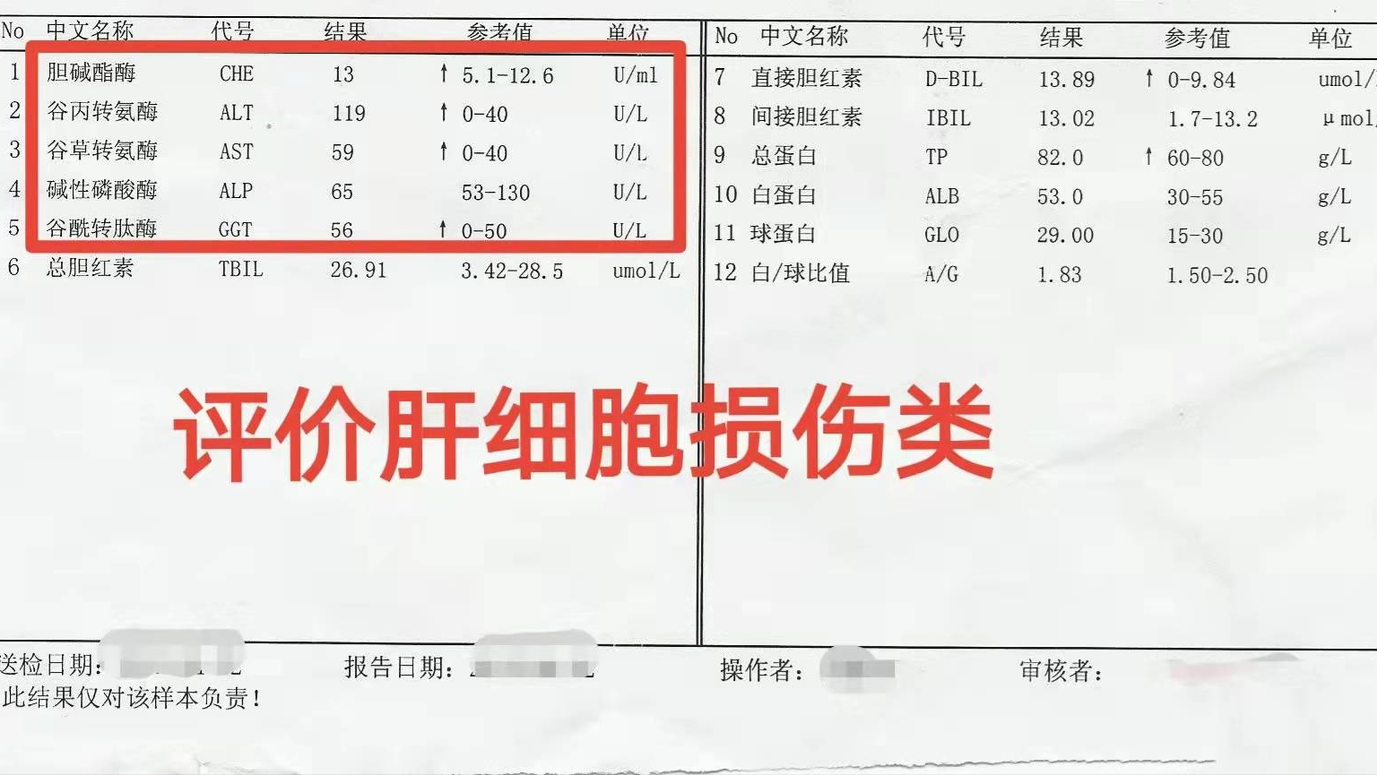 谷氨酰转肽酶高是怎么回事？肝脏健康隐患深度解析