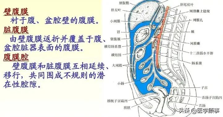 子宫直肠窝积液是怎么回事？深度解析病因、症状及治疗方法