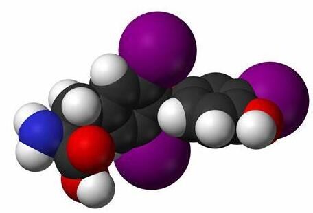 甲状腺球蛋白低是怎么回事？深度解析低TPOAb与甲状腺功能低下的关联