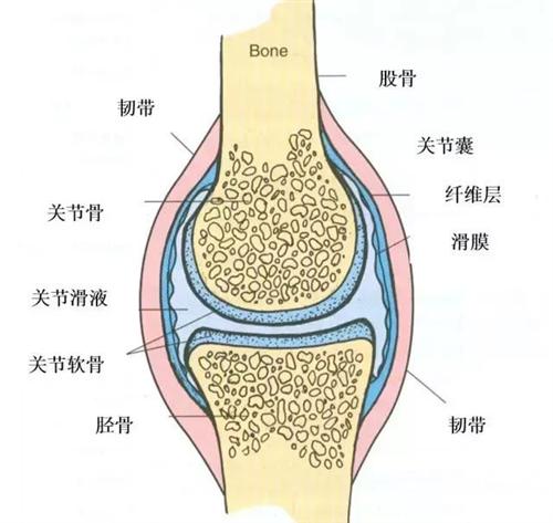 滑膜炎怎么治疗？权威解读及最新治疗方案详解