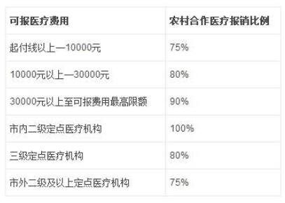 深度解析：农村合作医疗报销流程及常见问题解答