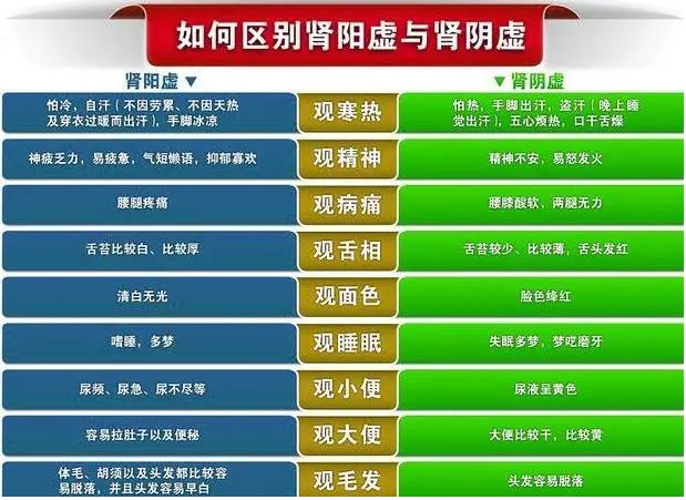 肾阴虚和肾阳虚怎么判断？症状、体质辨析及调理方法详解