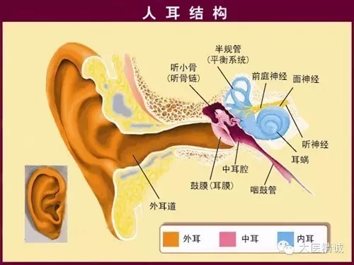 耳朵进水怎么办？游泳后耳朵进水及各种情况的处理方法详解