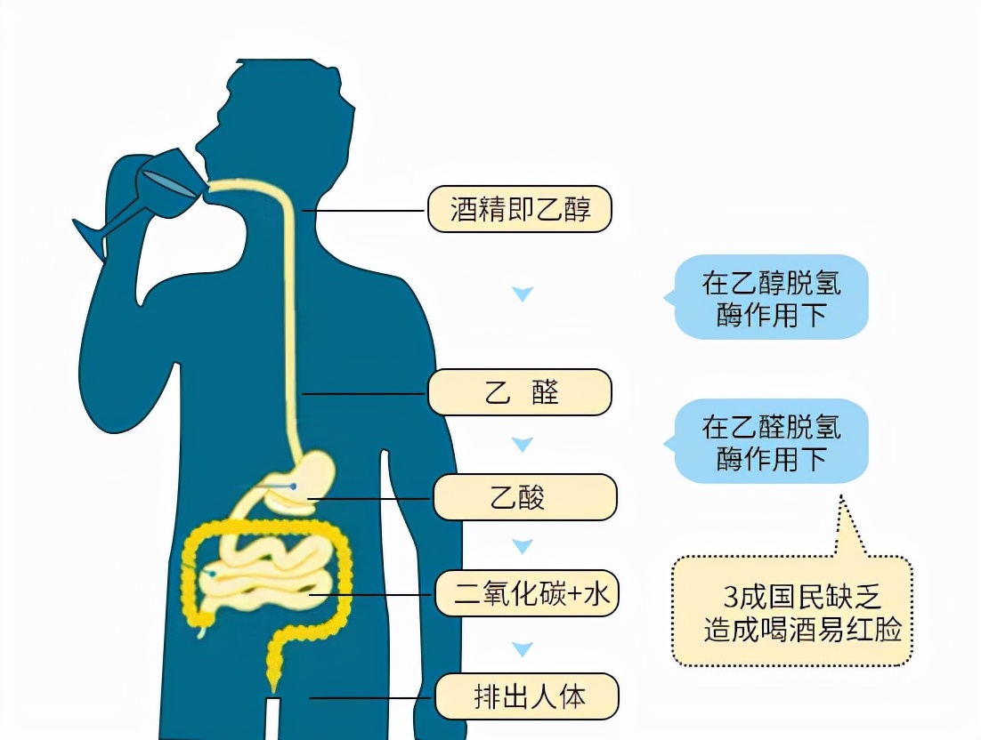 喝酒后胃难受怎么办？深度解析及应对策略