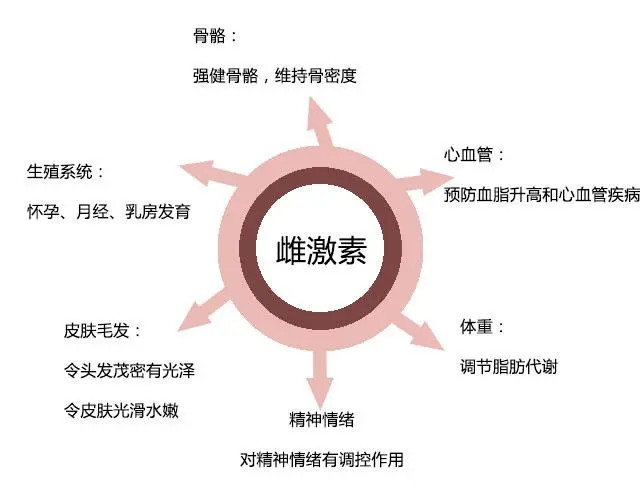 雌激素低怎么办？有效改善雌激素不足的全面指南