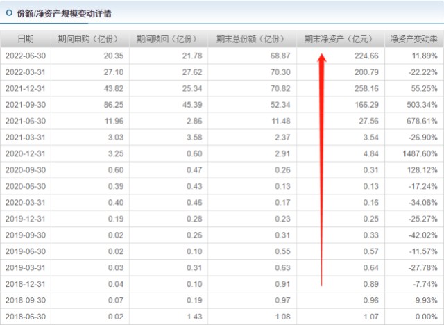 005669基金净值查询：今天最新净值及投资策略分析