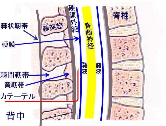 尿毒症怎么治？从治疗方法到生活管理的全面解释