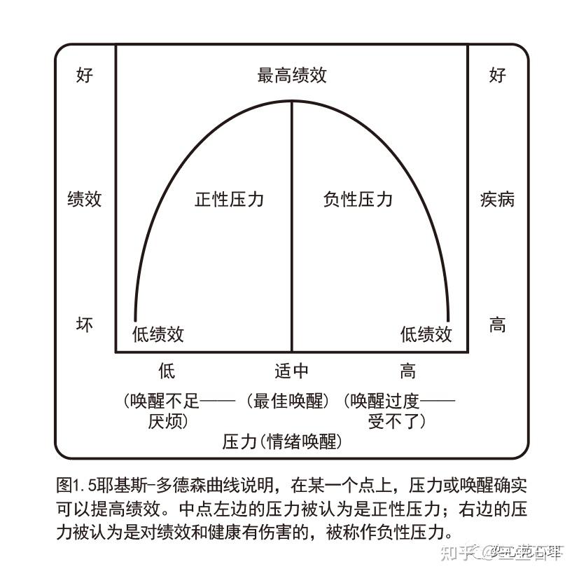 有效去除双下巴的秘诀：从生活习惯到专业方法，打造精致脸型