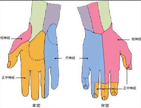 右手手指发麻是怎么回事？深度解析常见原因及应对方法