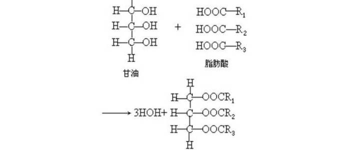 血清甘油三酯偏高是怎么回事？深度解析及应对策略