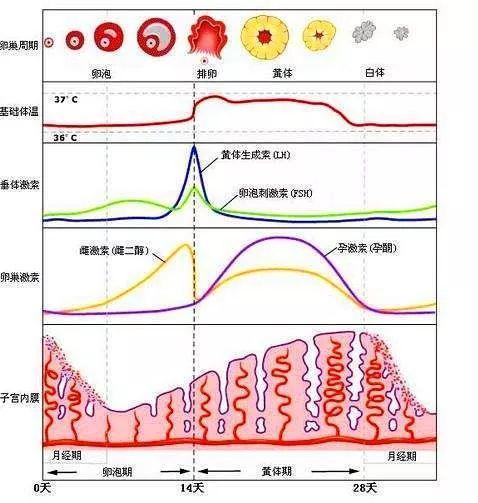 实时热搜 第929页