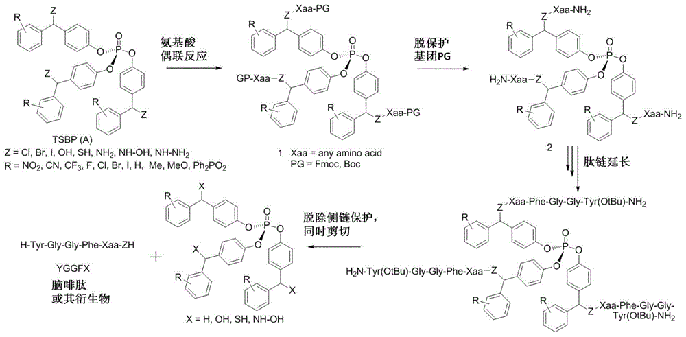 吓啡了是怎么事？从医学和精神两个角度分析