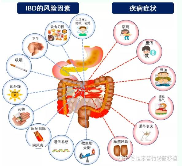 肠胃炎是怎么引起的？探究病因及预防措施