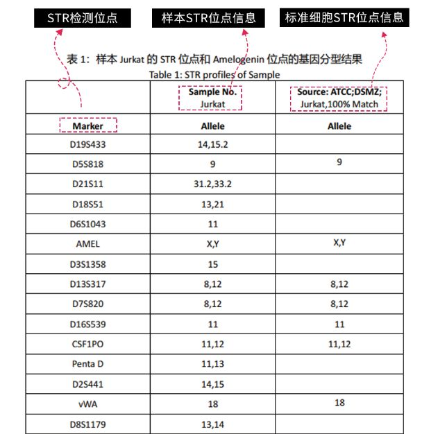 亲子鉴定是怎么做的？详解流程、技术及应用场景