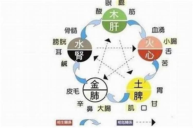 五行缺水怎么补？详解五行缺水调理方法及注意事项