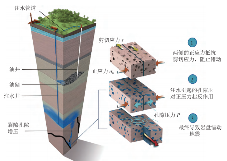 为什么会发生地震？地壳运动与板块构造的深度解读