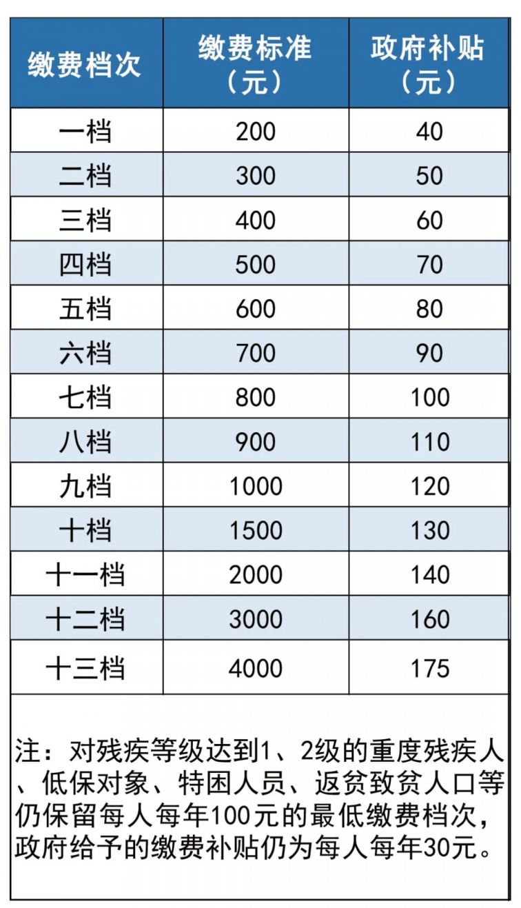 养老保险怎么交？详解缴费流程、政策解读及未来展望