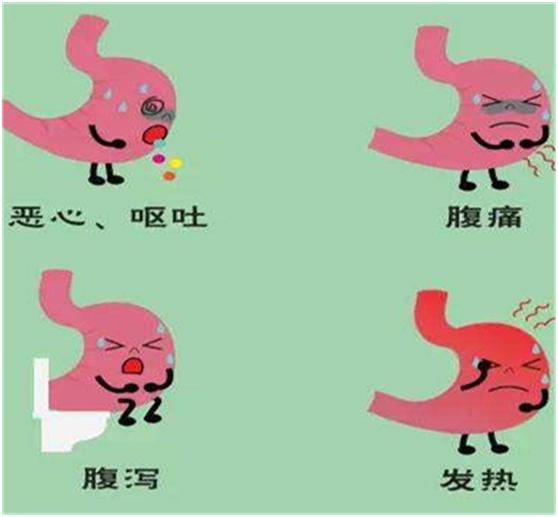 急性肠胃炎怎么引起的？探究病因及预防措施