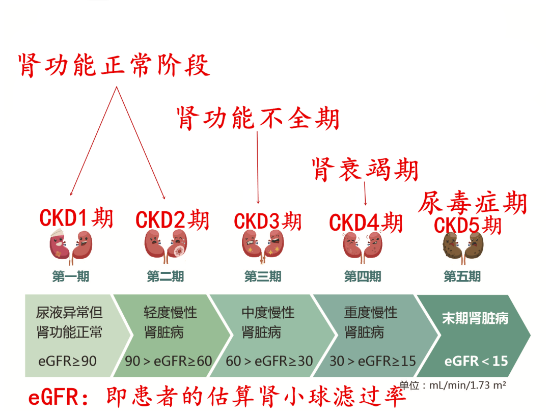 肾病生的心灵：为什么肾最恐吃花生？精准解说及风险防范