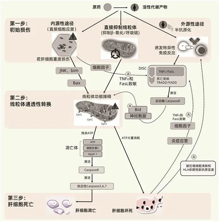 妙笔生花 第66页