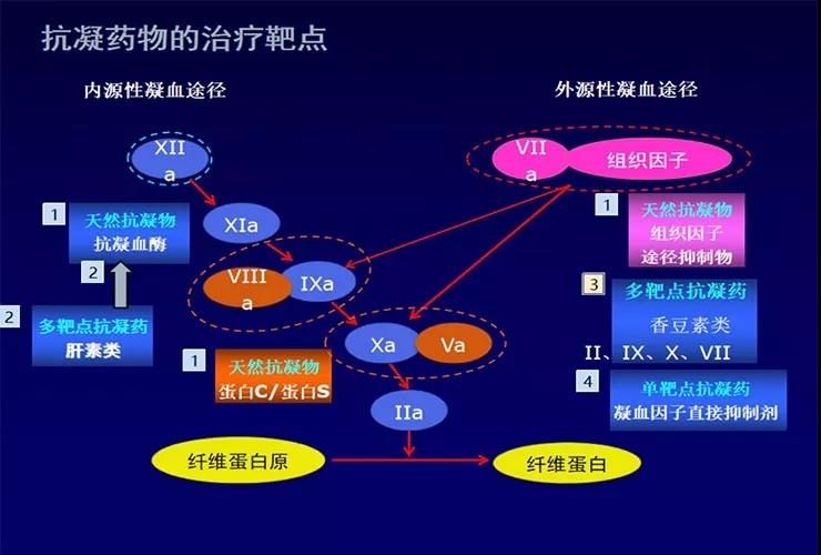 轻微脑梗怎么治疗最有效的方法：多维度解析及治疗策略