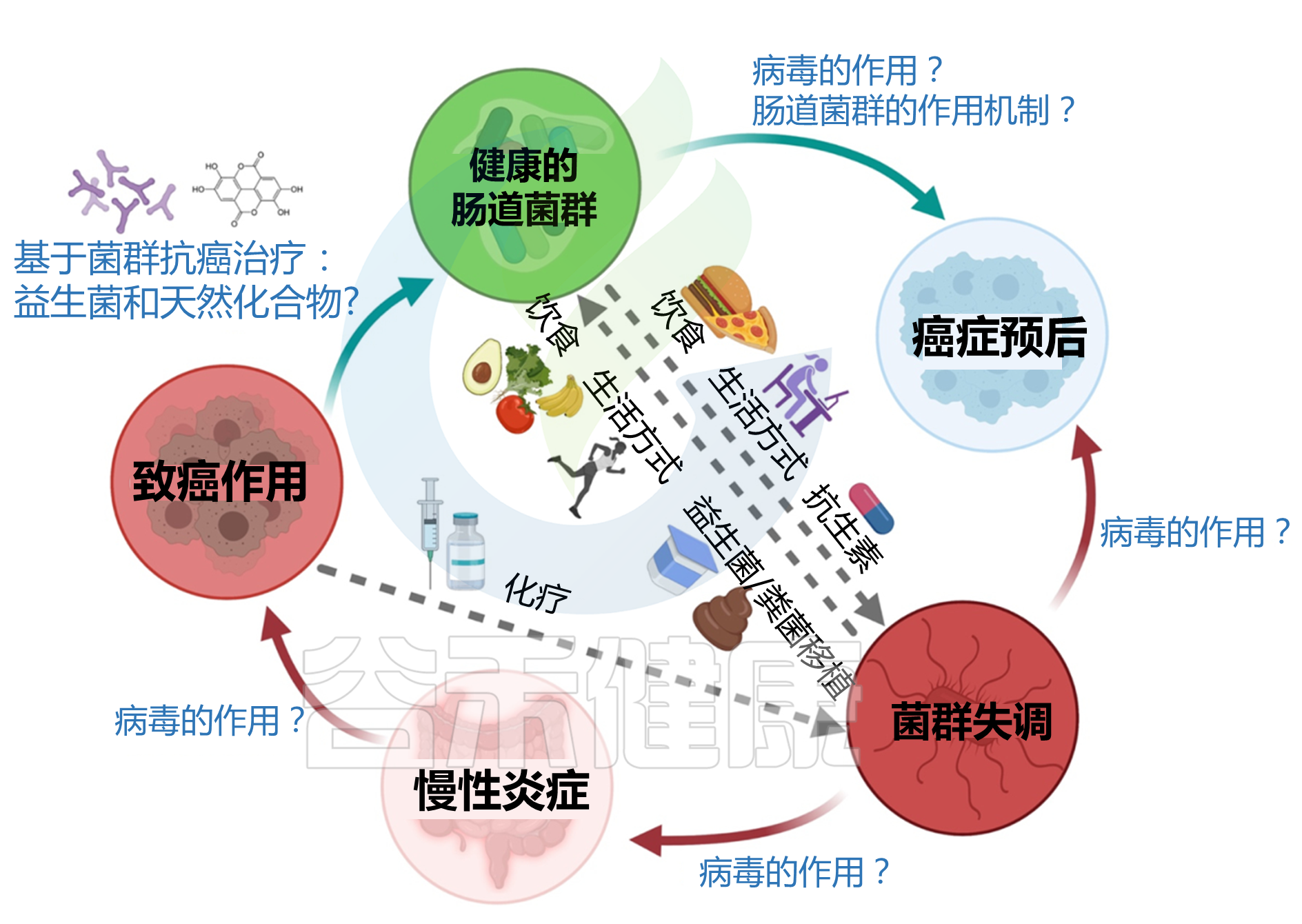 为何会结肚？从身体内外因素到生活习惯的全面分析