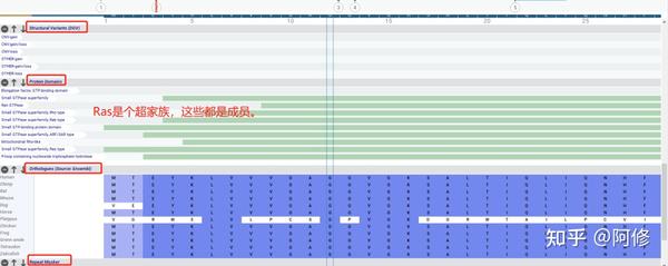 减肥反击怎么办？从根源解决体重复击问题