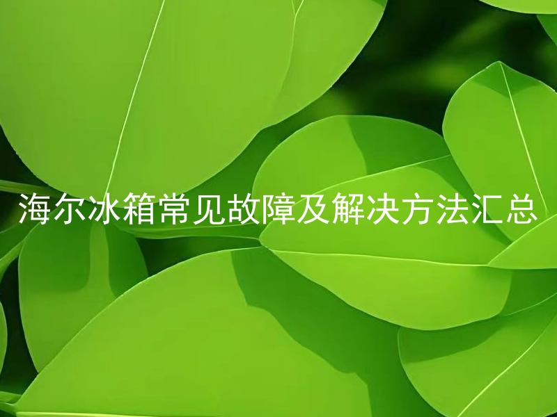 海尔冰箱温度调节技巧详解：掌握冷藏冷冻温度设置，延长食物保鲜时间