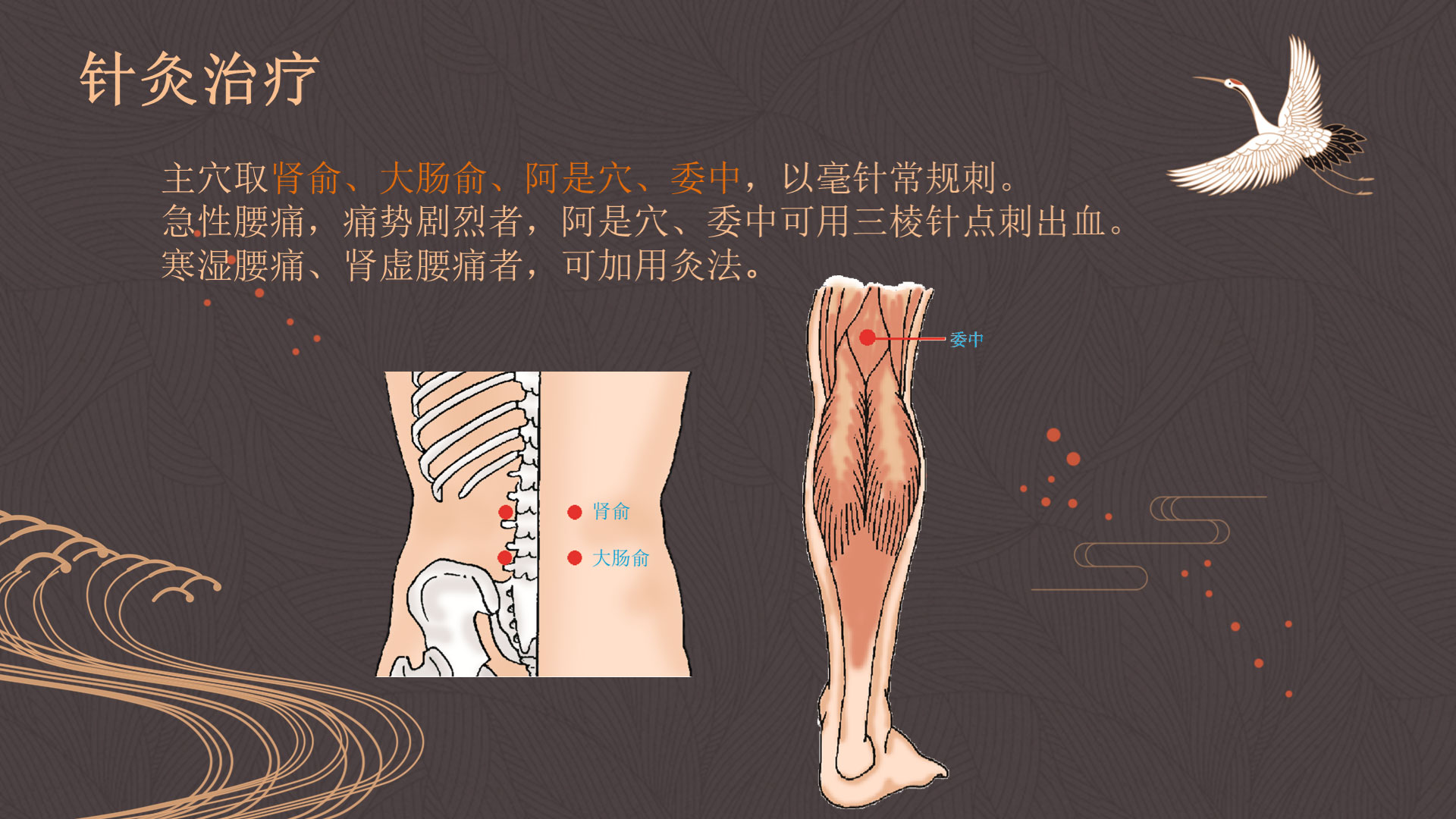 单独左腿麻是怎么回事？全面解析腿麻的常见原因及应对方法