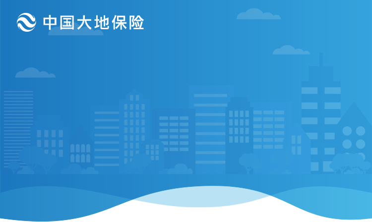 大地保险购买指南：产品选择、理赔流程及风险提示