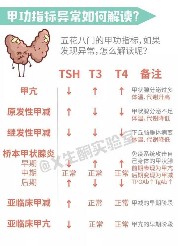 甲状腺怎么检查？全面解读甲状腺功能检查方法及注意事项