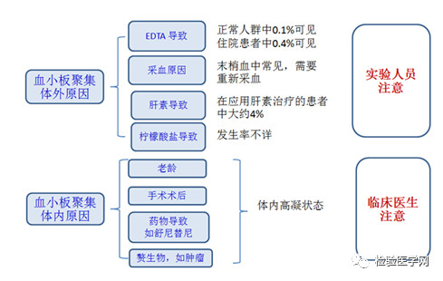 血象高是怎么回事？详解血常规指标异常的原因及应对方法