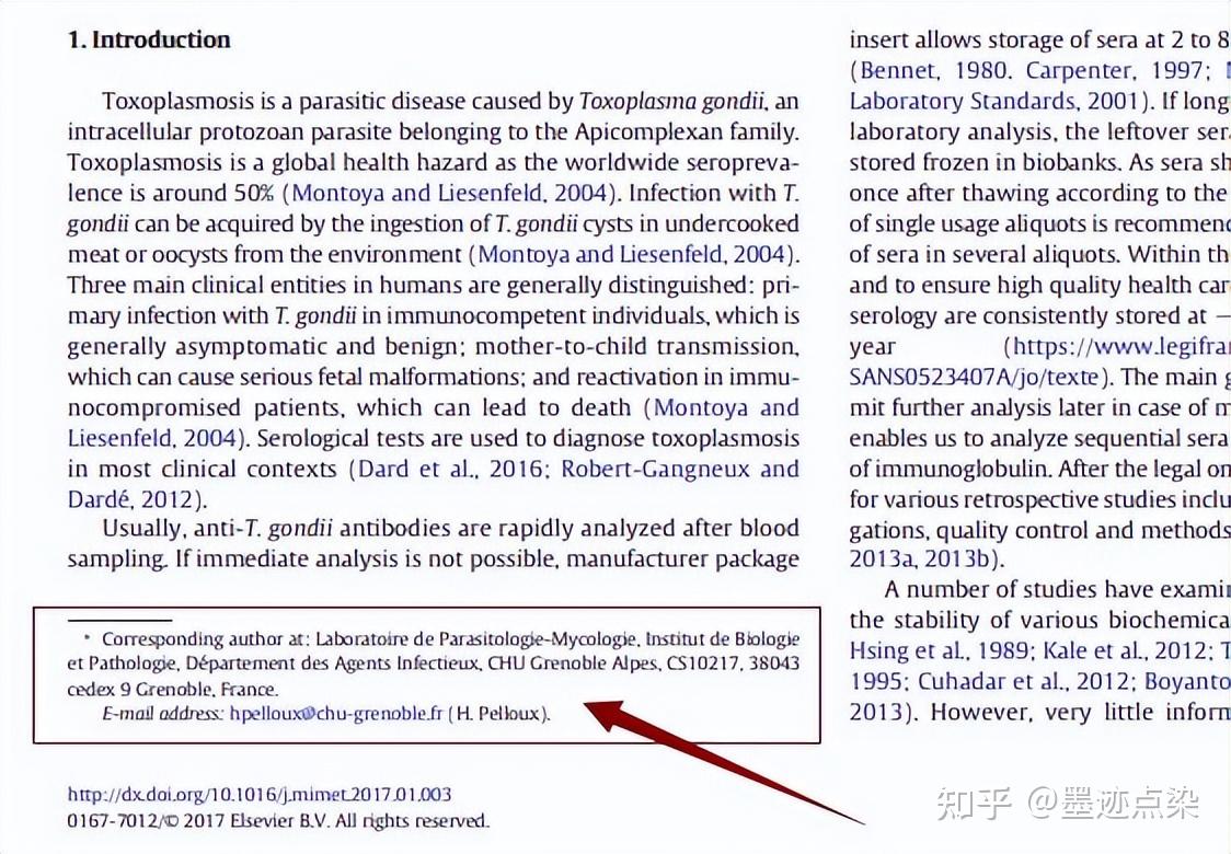 作家用英语怎么说？深度解析英语中作家的表达方式及文化内涵