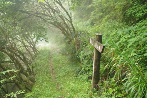 邀请进群怎么邀请？高效邀群指南及潜在风险规避