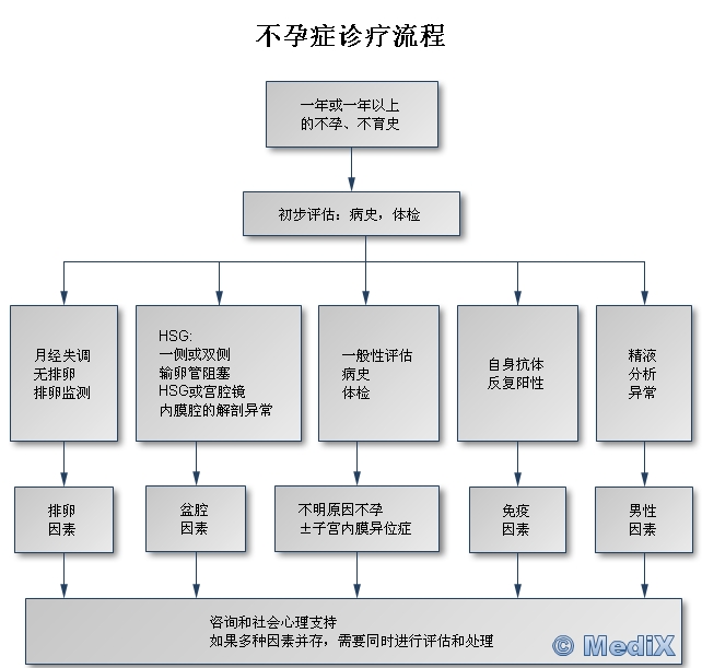 孕初期精心观察：何么别差血块和孕粒图？一观全面分析