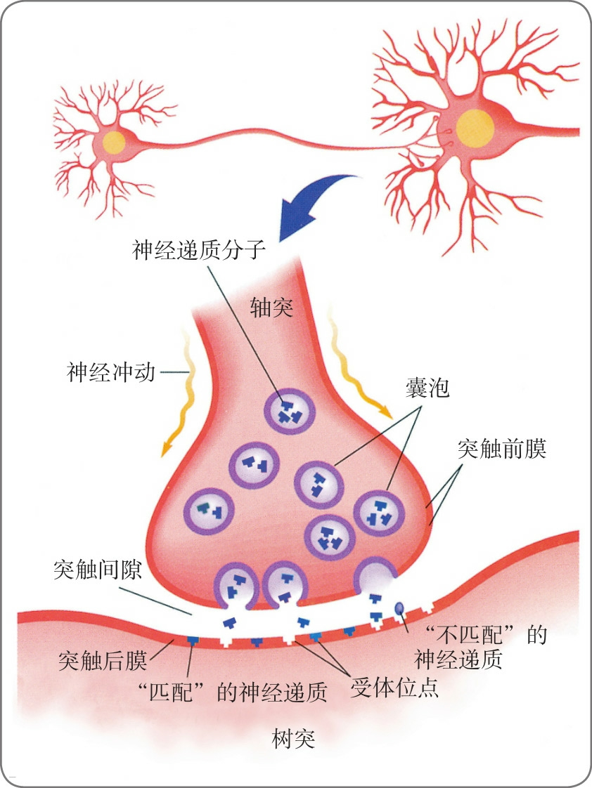 抑郁症是怎么引起的？探析病因、症状及应对策略