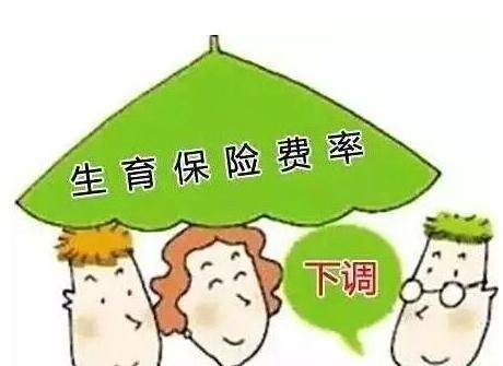 生育保险怎么查询？详解多种查询途径及注意事项