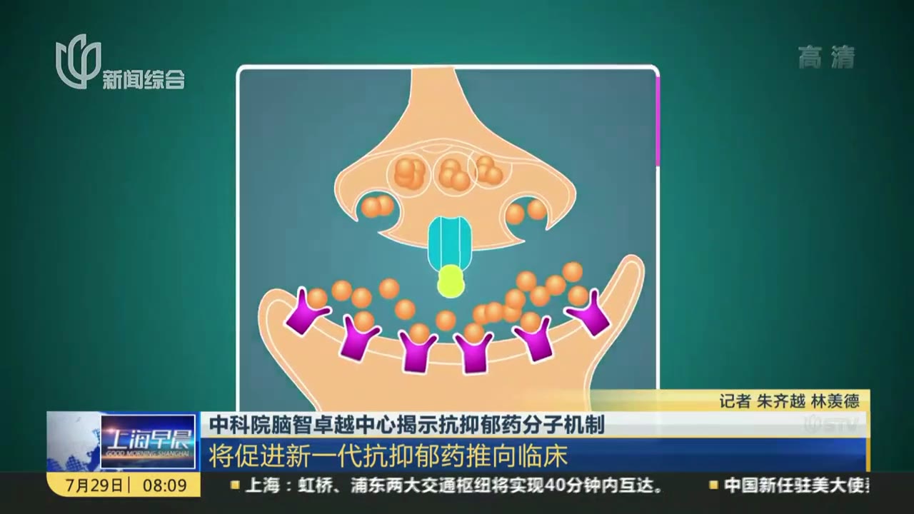 抑郁症了怎么办？深度解析抑郁症的应对策略及恢复之路