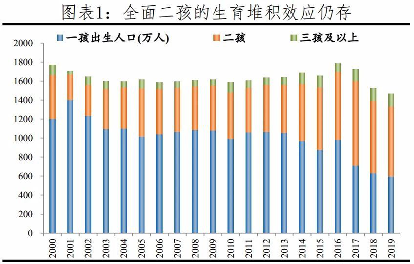 出生率怎么算？详解出生率计算方法及影响因素