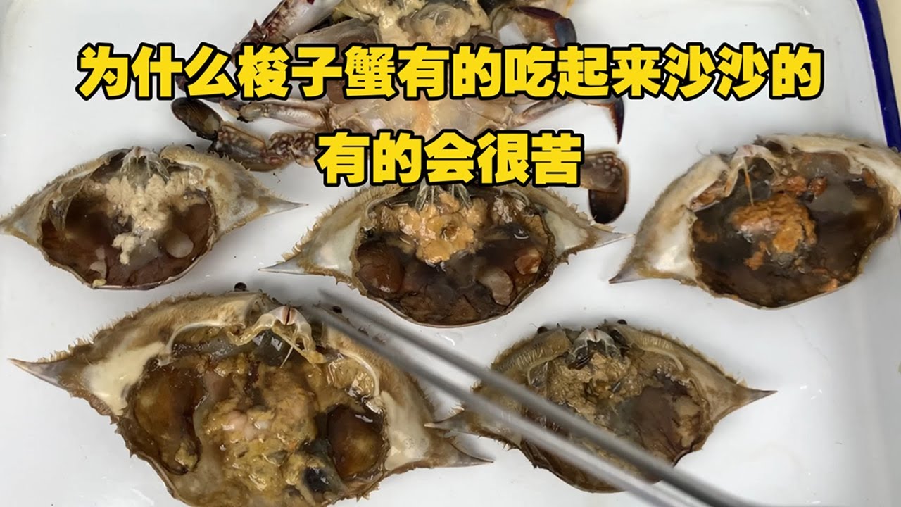 怎么烧梭子蟹：解锁鲜美蟹肉的烹饪秘籍