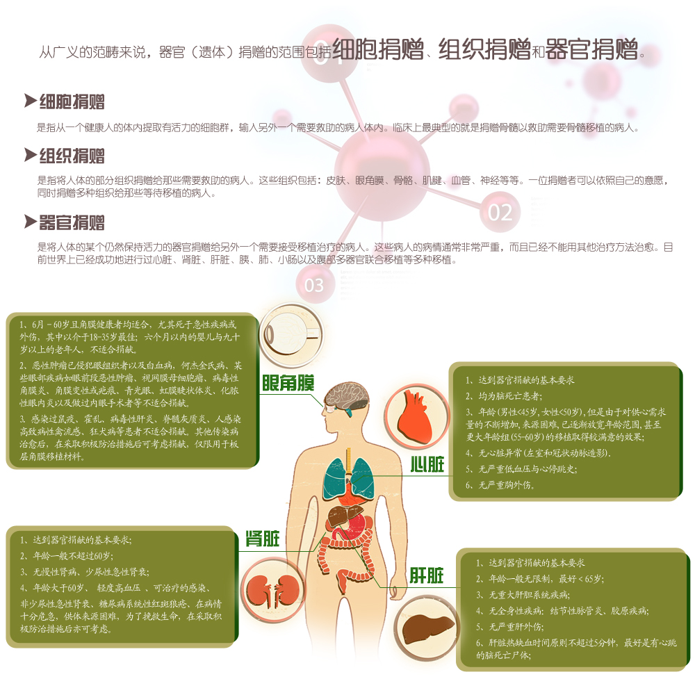 我想卖肾怎么样能卖？透视器官买卖的风险与法律