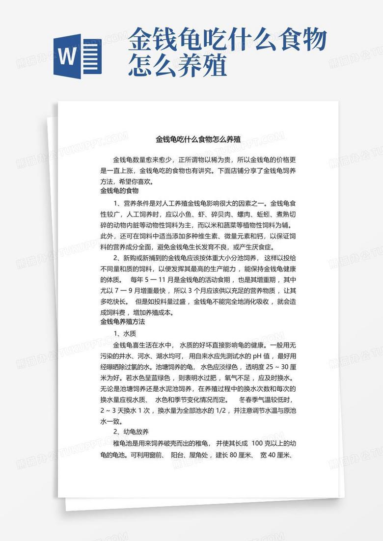 金钱龟怎么养？新手入门指南及常见问题解答