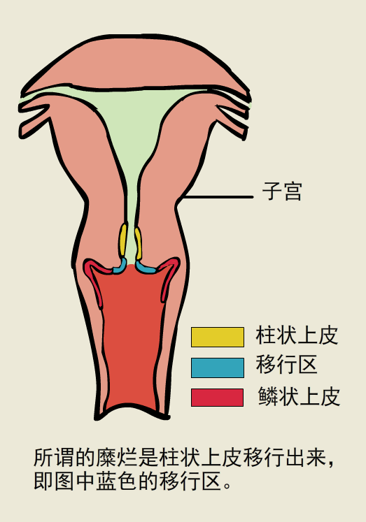 2025年1月14日 第12页