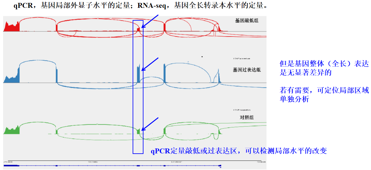 2008用英语怎么说？深入解析年份表达及文化内涵