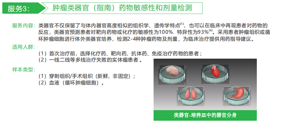 虫牙怎么治才能彻底根除？深度解析治疗方法及预防措施