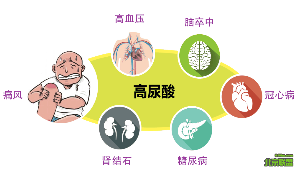 痛风怎么治疗？从药物到生活方式调整的全方位攻略