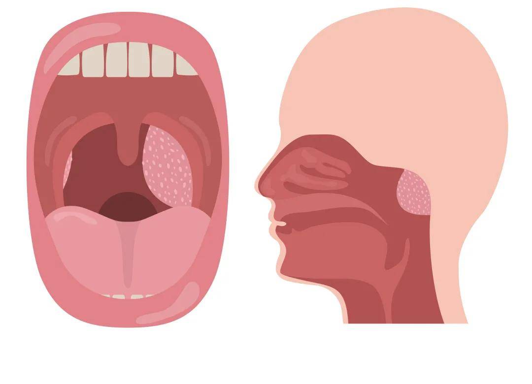 儿童腺样体肥大怎么治疗比较好？权威指南助您轻松应对