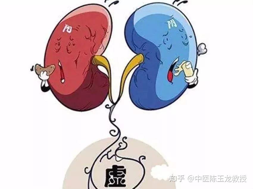 阴虚怎么补最快？中医调理、食疗方剂及现代保健方法详解